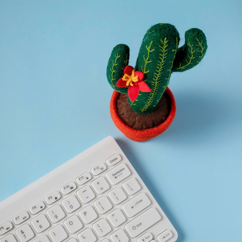 Сагуаро 2 квадрат.jpg