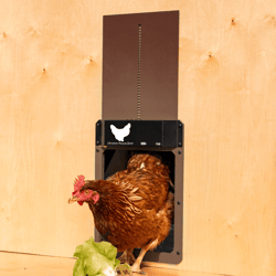chicken coop automatic door