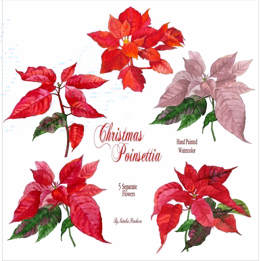 Ets Christmas Poinsettia cover 2_1.jpg