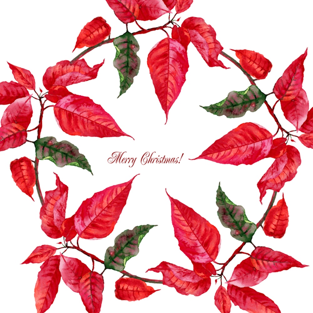 Etsy Christmas Poinsettia cover_4.jpg
