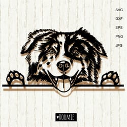 australian shepherd svg, aussie svg, peeking dog shirt design car decal clipart vector cut file cricut vinyl /44