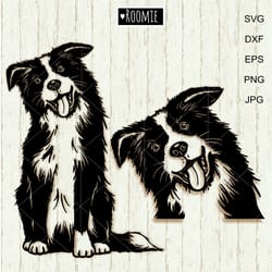cute border collie svg for cricut, peeking dog shirt design car decal clipart vector cut file cricut vinyl /101