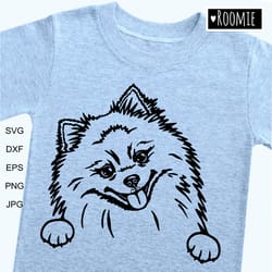 pomeranian spitz shirt design svg, peeking dog pom car decal clipart vector cut file cricut vinyl /124