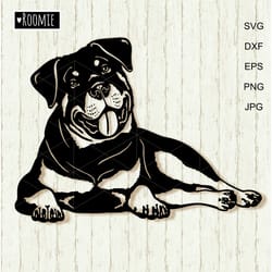rottweiler svg for cricut, peeking dog, rottie shirt design, car decal clipart vector cut file vinyl /150