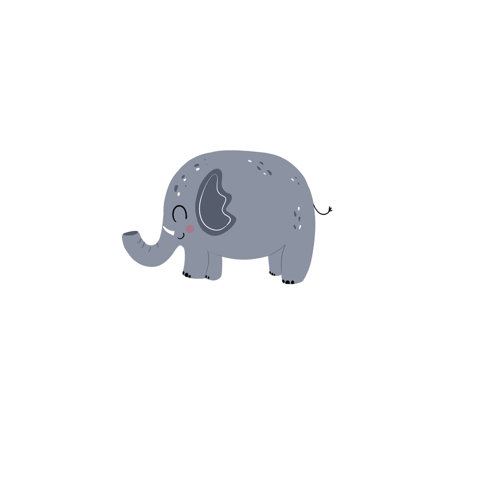 Elephant.jpg