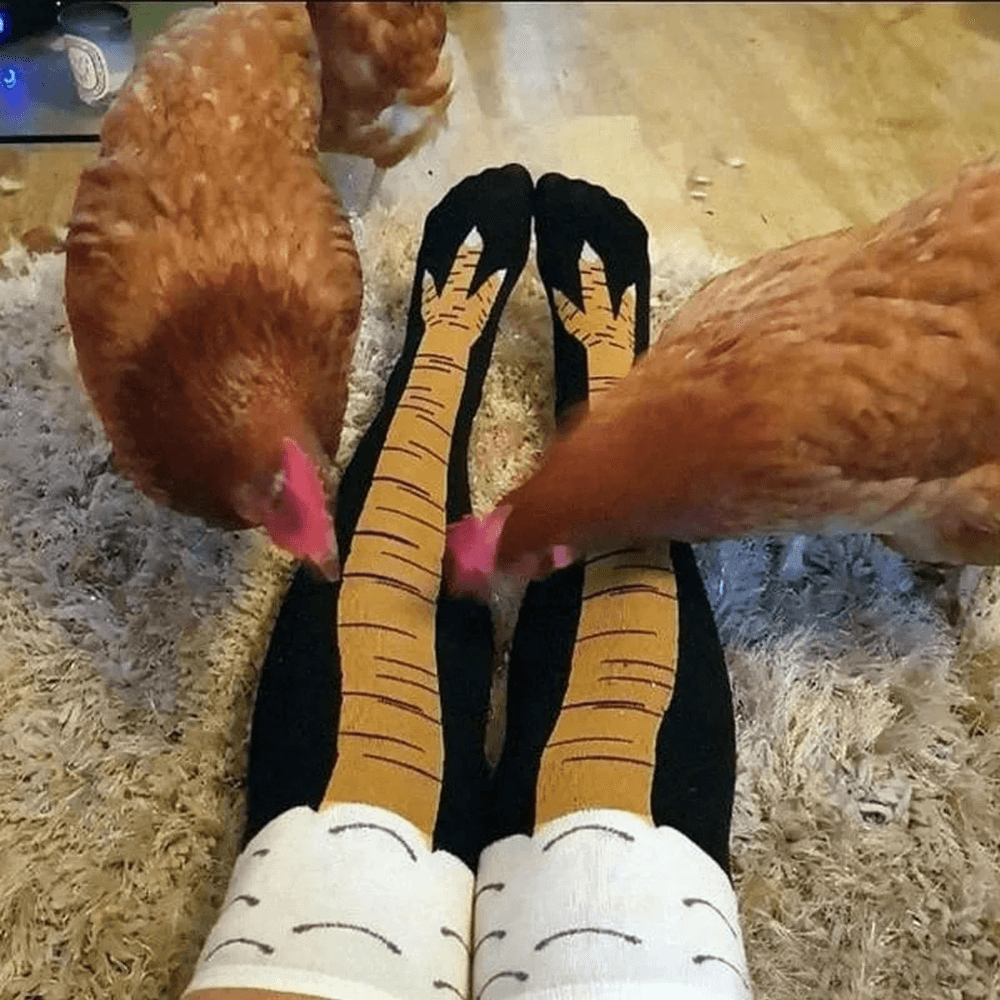 chickenlegsocks4.png