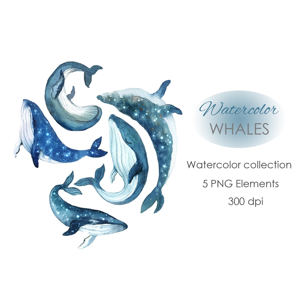 watercolor blue whale.jpg