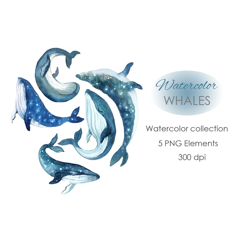 watercolor blue whale.jpg