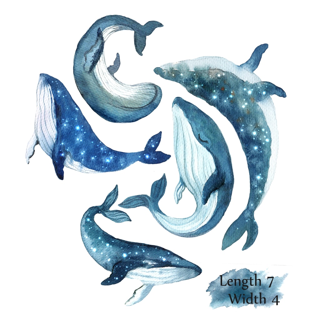whale set.jpg