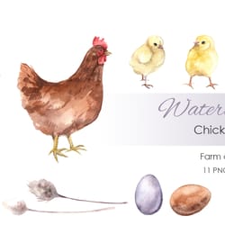 watercolor clipart. farm clipart. chickens clipart. hand drawn cute clipart farm-themed with hen, baby chickens, eggs