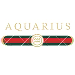 aquarius zodiac svg, birthday svg, birthday girl svg, zodiac svg, aquarius svg