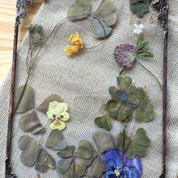 pressed flower in glass flower painting diy vintage pressed clover vintage pressed flowers in glass dried flowers frame