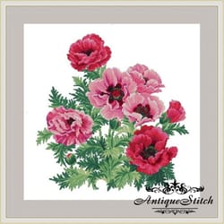 pink poppy 64 vintage cross stitch pattern pdf compatible pattern keeper