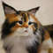 FullSizeRender-13-05-21-07-12-4.jpg