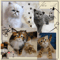 image-31-03-22-02-27-9.png