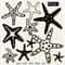 Seastars black and white clipart.jpg