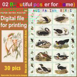 02 retro poster (big) australien birds