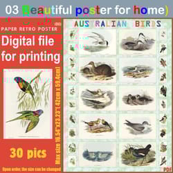 03 retro poster (big) australien birds