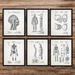set of 6 anatomy patents, decor gifts, medical school student, nurse, doctor, surgeon, doctor gifts, medical student