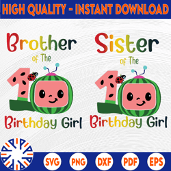 cocomelon brother and sister of birthday girl svg, coco melon svg, cocomelon bundle svg, cocomelon birthday svg