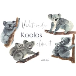 watercolor koala clipart, cute baby shower, baby animals, unique postcards, t-shirts,scrapbooking, bags, poster, cups