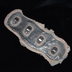 silicone prosthetics makeup. cyberpunk