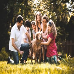 cinematic lightroom mobile & desktop presets