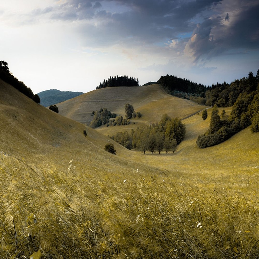 1080x1080 size preview1-4.jpg