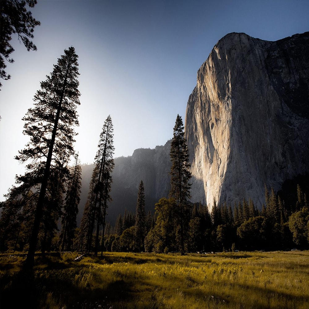 1080x1080 size preview2-4.jpg