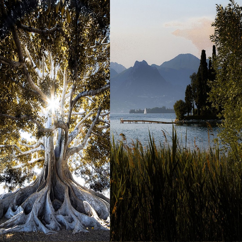 1080x1080 size preview10-3.jpg