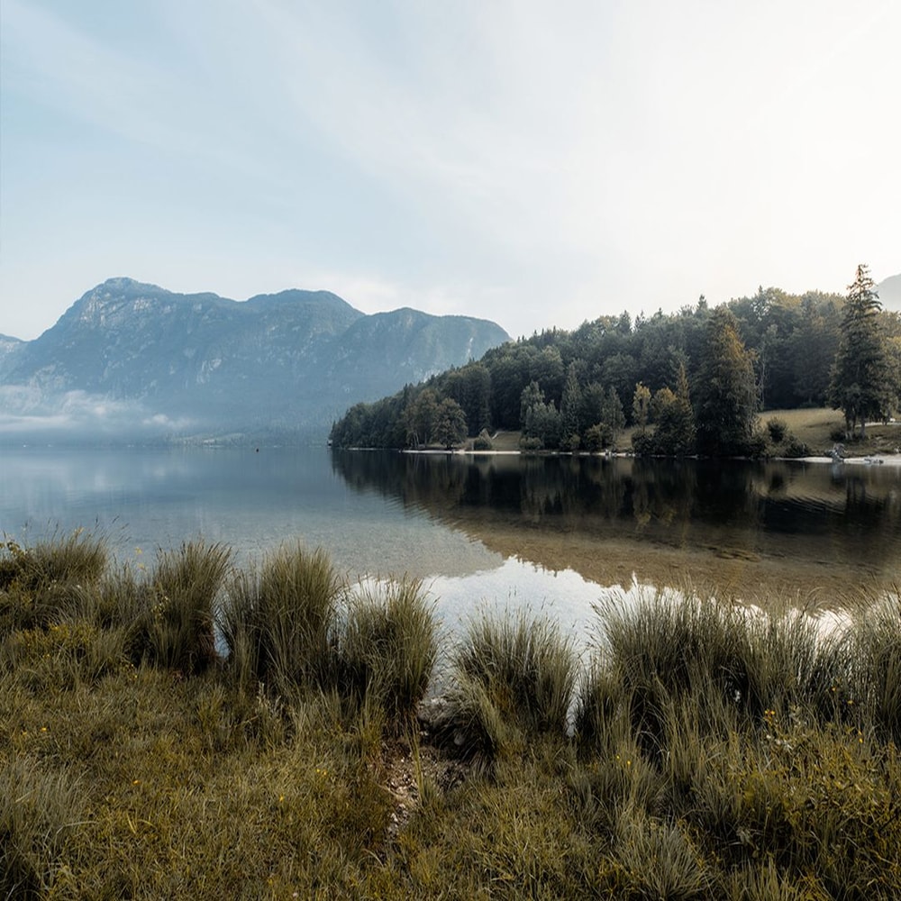 1080x1080 size preview3-3.jpg