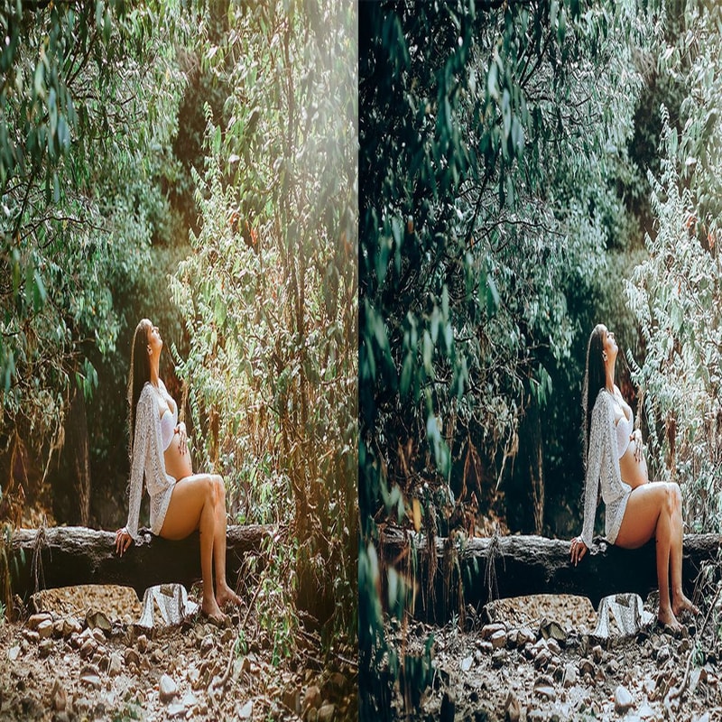 1080x1080 size 4_Evergreen-1594x664.jpg