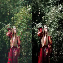 12 x lightroom presets | garden of eden mobile & desktop presets