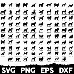 animal svg bundle, animal svg, animal silhouette, animal cut file, animal clipart, animal vector, forest animal svg