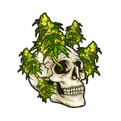 skull weed svg, cannabis svg, stoner svg, marijuana svg, weed smokings svg file cut digital download