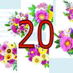 scrapbooking card set, pocket card - flowers-2