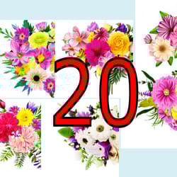 scrapbooking card set, pocket card - flowers-3