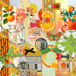 digital scrapbooking kit "orange garden", 82 elements