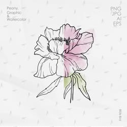 peonies line art png, line drawing peony clip art botanical, botanical line art, line art flowers, hand drawn peony plan