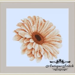 african daisy 78 vintage cross stitch pattern pdf garden flowers embroidery compatible pattern keeper