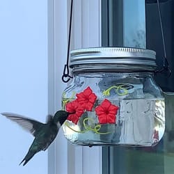 3 ports beautiful mason hummingbird feeder