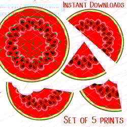 bundle watermelon mandala svg..tropical fruits, summer, beach print logo art