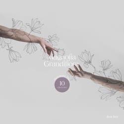 botanical line art, magnolia fine line, magnolia flowers clipart, botanical leaves illustrations, black and white