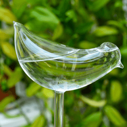 bird shaped plant self watering glass globe