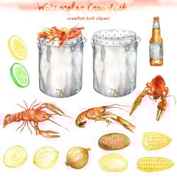watercolor crawfish boil clipart - digital printable clipart - 300 dpi png, transparent background