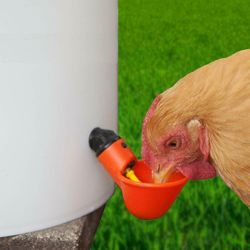 Automatic Chicken Water Cup Bird Coop