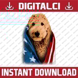 golden doodle american flag independence day dog 4th of july 4th of july, memorial day, american flag, independence day