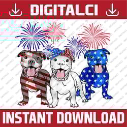 american pitbull dog firework 4th of july usa flag patriotic 4th of july, memorial day, american flag, independence day