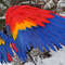 anime cosplay wings scarlet macaw wings bluebird wings parrot wings movable wings articulated w