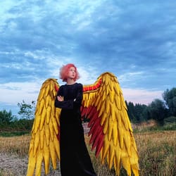 xl movable hawkman wings from black adam film cosplay costume, articulating golden wings/photo props/ halloween outfit